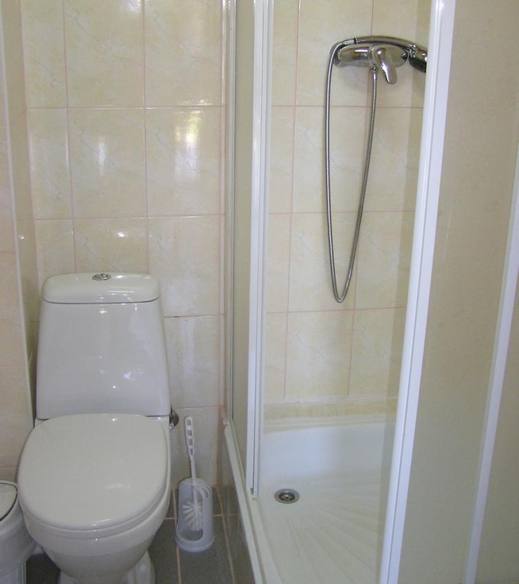 Vedmid Hotell Myslovka Rom bilde